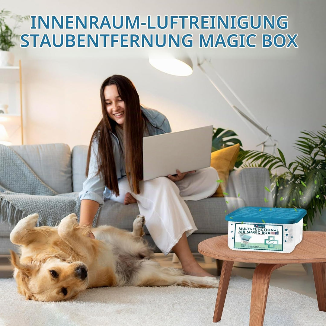 Indoor Luftreinigung Staub Entfernung Magic Box, Multifunctional Air Magic Box, Reinigt die Luft, La