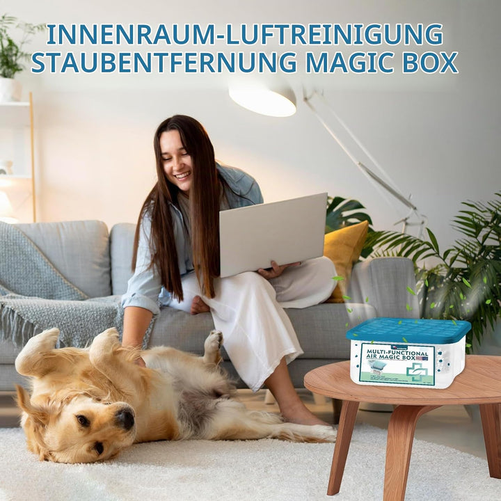 Indoor Luftreinigung Staub Entfernung Magic Box, Multifunctional Air Magic Box, Reinigt die Luft, La