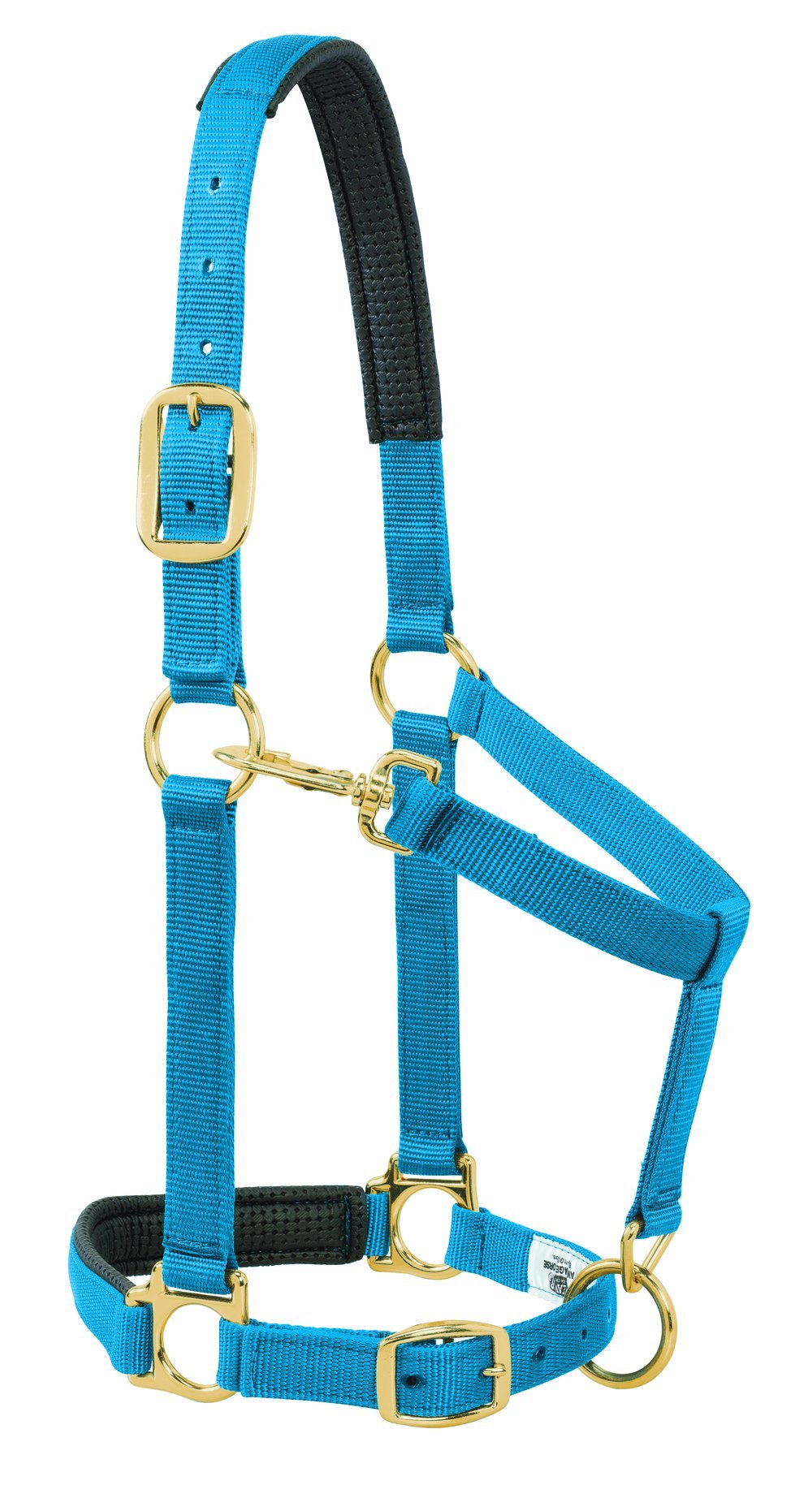 Weaver Farbe Gepolsterte, verstellbare Kinn und Hals Snap Halfter blau 1" Small Horse or Weanling Dr