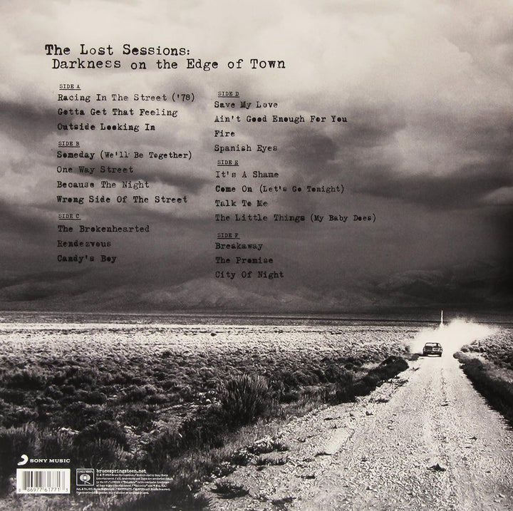 The Promise, Vinyl