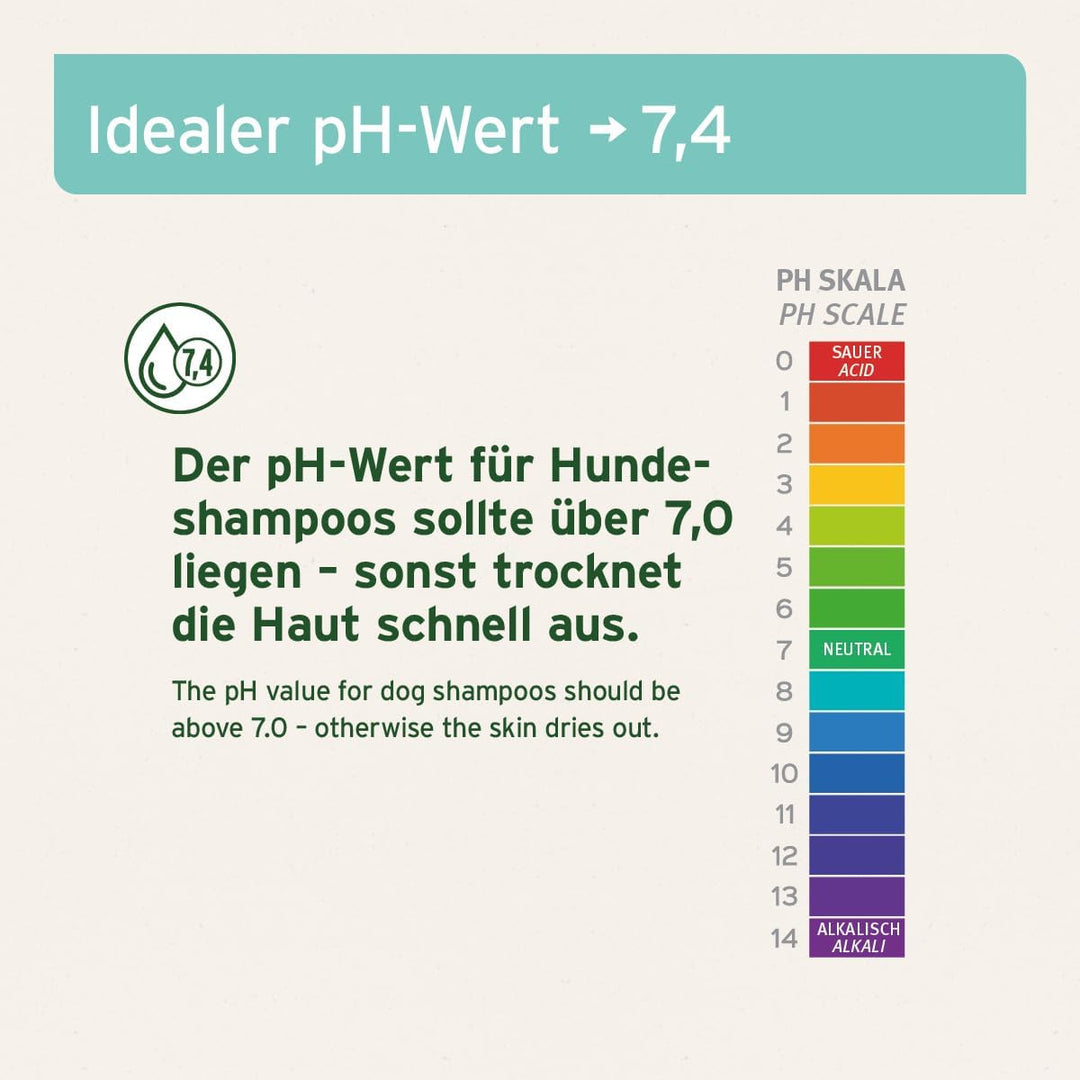 AniForte Fellharmonie Hundeshampoo mit Kokosöl & Aloe Vera 200ml – Pflegeshampoo für Hunde, Vitale H