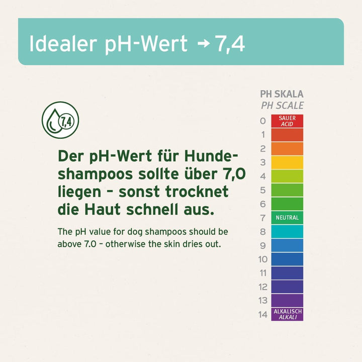 AniForte Fellharmonie Hundeshampoo mit Kokosöl & Aloe Vera 200ml – Pflegeshampoo für Hunde, Vitale H