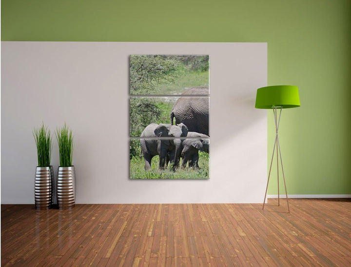 Pixxprint Süsse Elefanten Babys 3-Teiler Leinwandbild 120x80 Bild auf Leinwand
