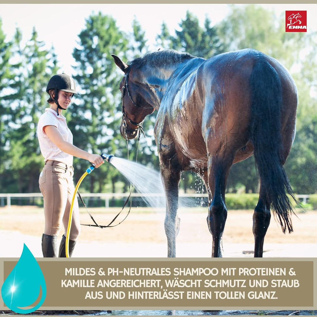 Shampoo für Hunde Pferde Kanister I Hundeshampoo Pferdeshampoo mit Kamille mildes Pferde Shampoo ph