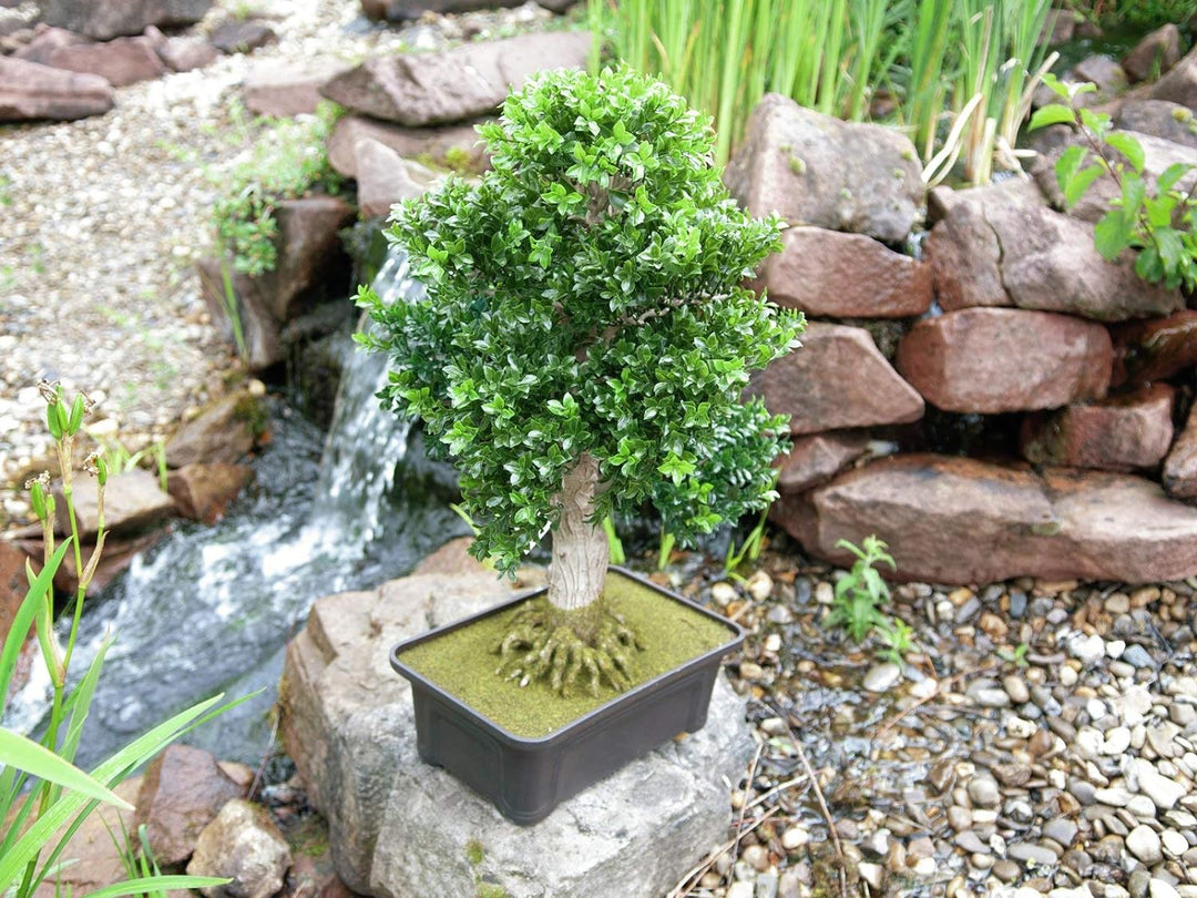 EUROPALMS Buchsbonsai, Kunstpflanze, 61 cm | Bonsai-Buchsbäumchen als Tischdeko