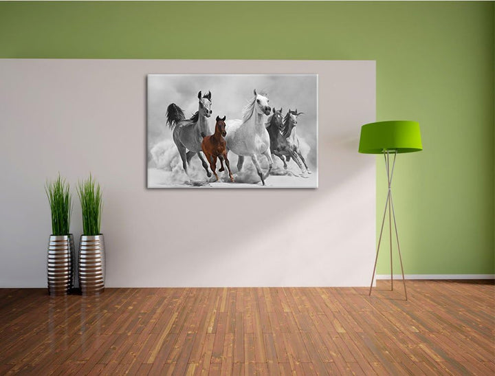 Mustangs in der Wüste mit Fohlen schwarz/weiss Format: 100x70 auf Leinwand, XXL riesige Bilder ferti