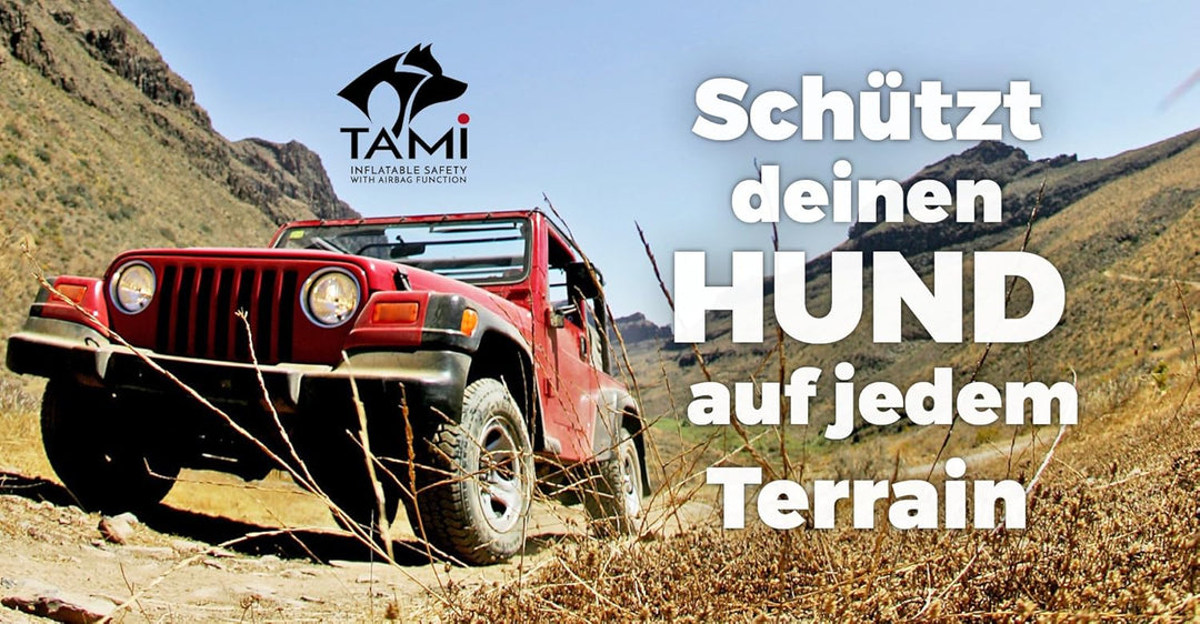 Tami - Hundetransportbox aufblasbar Tragebox Transportbox Hundebox Reisebox Autotransportbox Kofferr