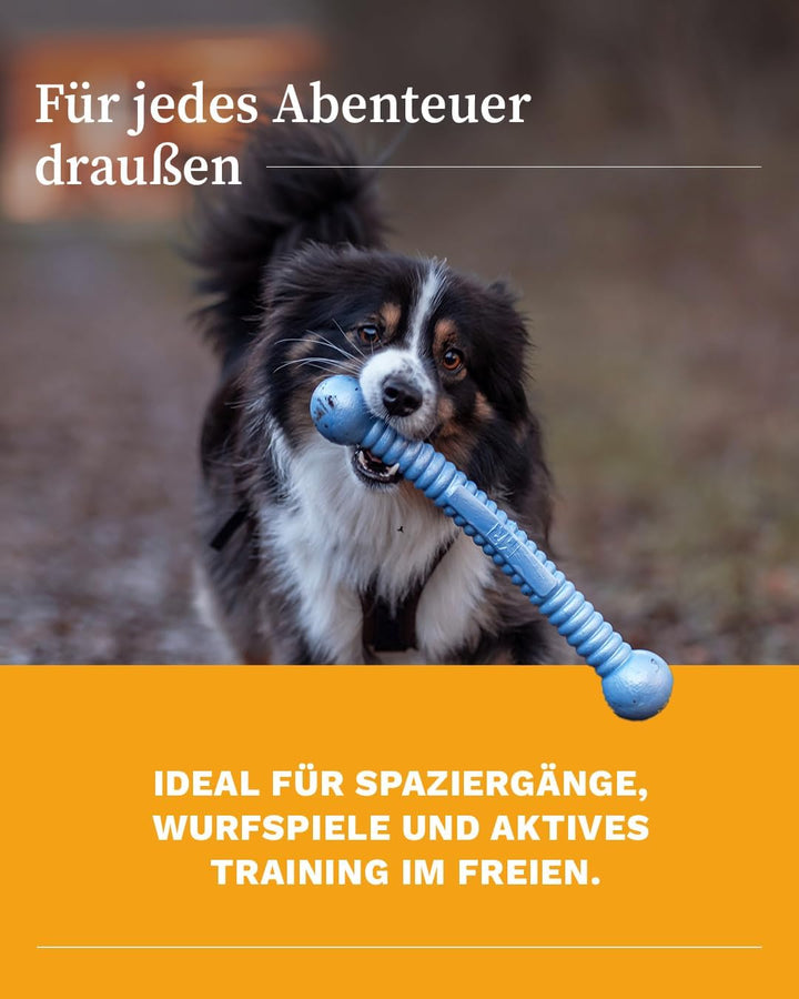Martin Rütter FUNSTIX Stöckchenersatz für Hunde Grösse: L, Farbe: Metallic-Blau – Flexibler & sicher