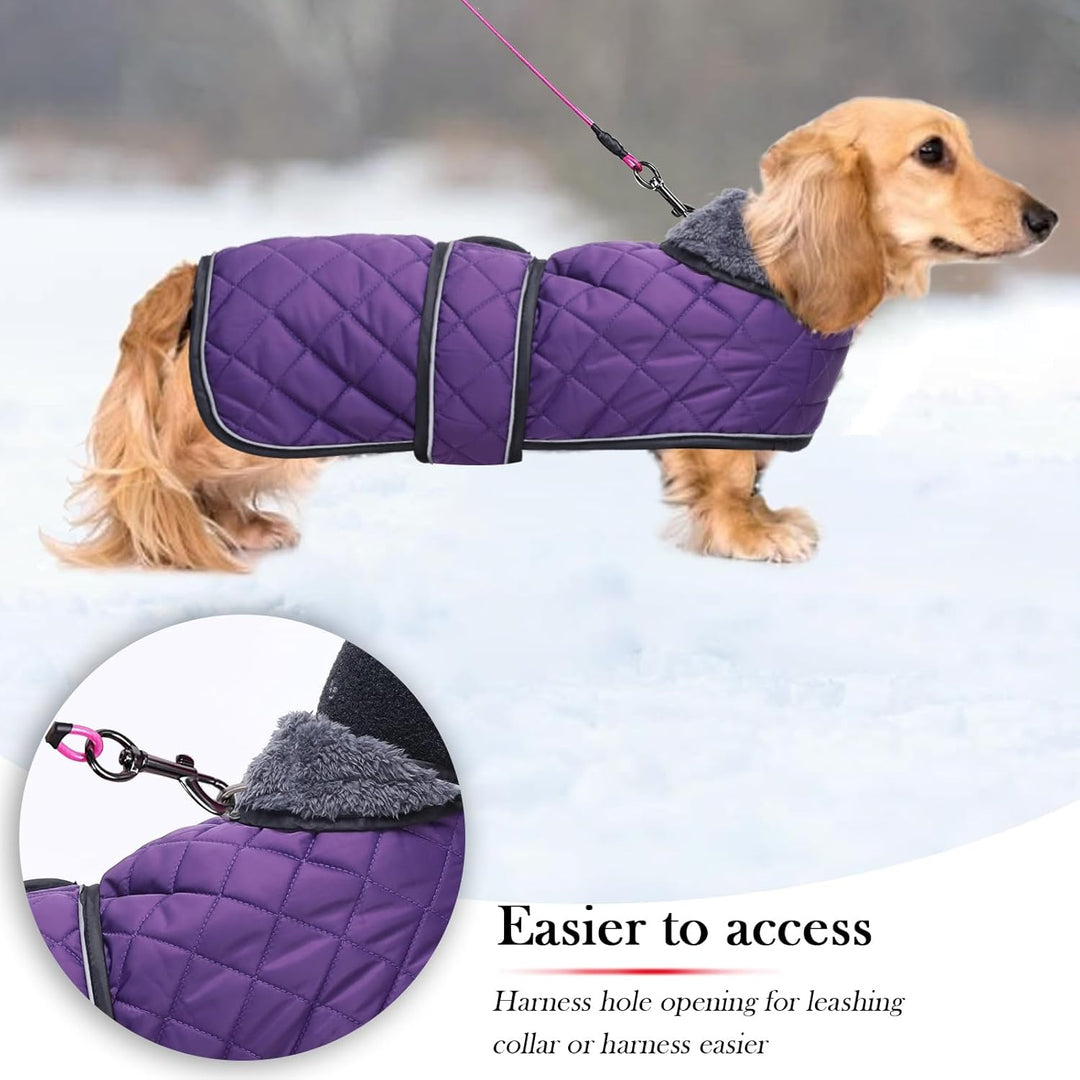 Geyecete - Warmer wintermantel für dackel Hunde,Hunde Winterjacken mit plüschfutter,Outdoor jacken m
