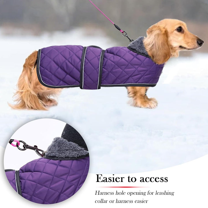 Geyecete - Warmer wintermantel für dackel Hunde,Hunde Winterjacken mit plüschfutter,Outdoor jacken m