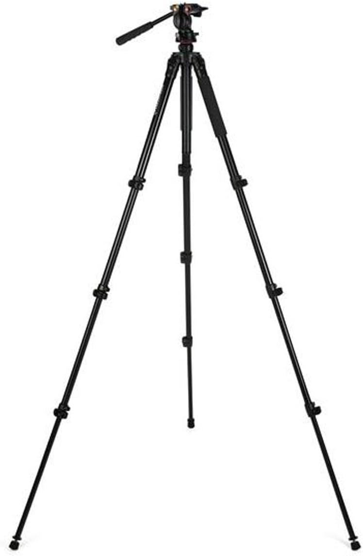 Celestron 82052 Regal Premium Stativ, Schwarz Regal Premium Stativ Einzeln, Regal Premium Stativ Ein