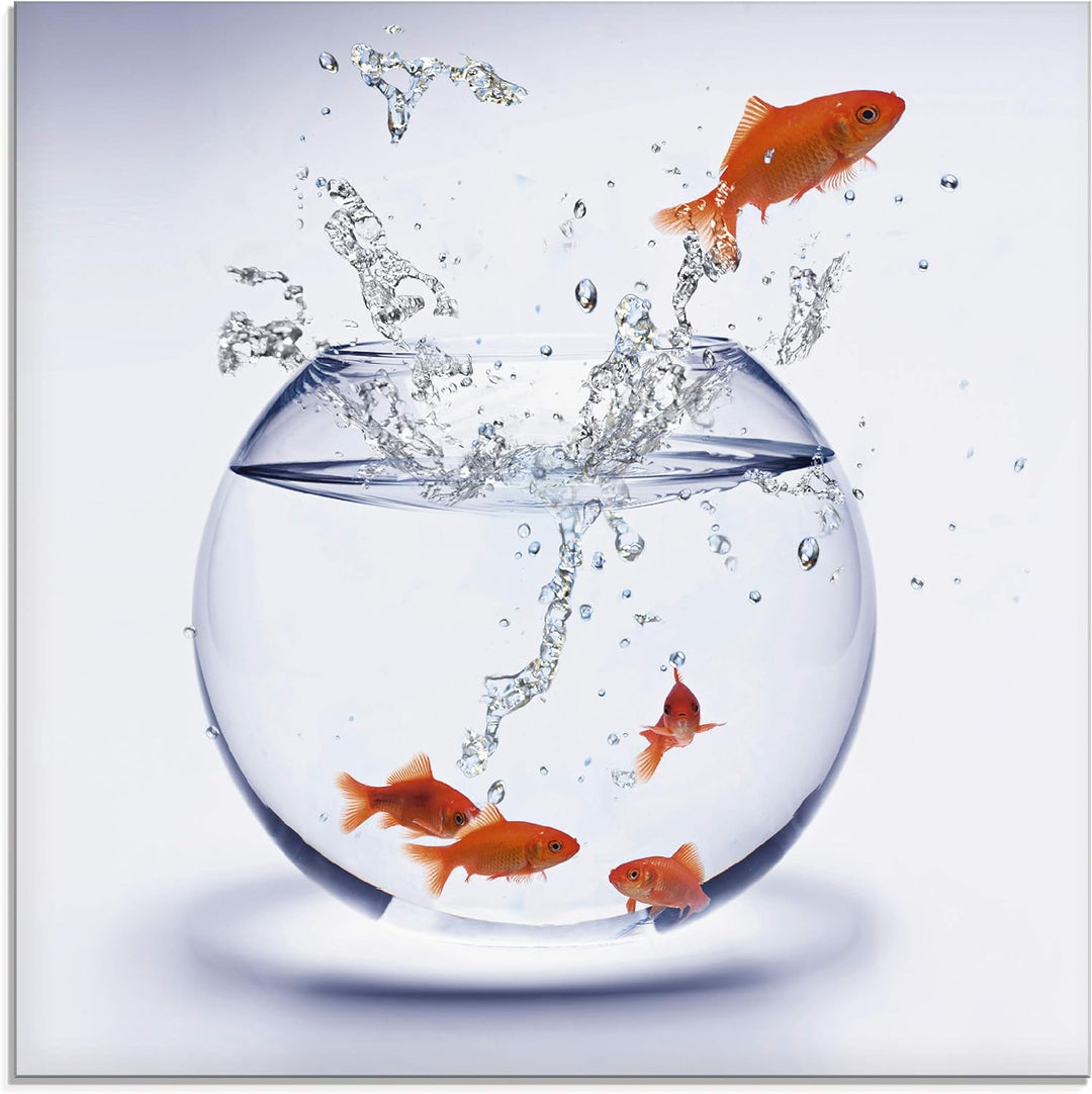 ARTland Glasbilder Wandbild Glas Bild einteilig 40x40 cm Quadratisch Tiere Fische Goldfisch Aquarium