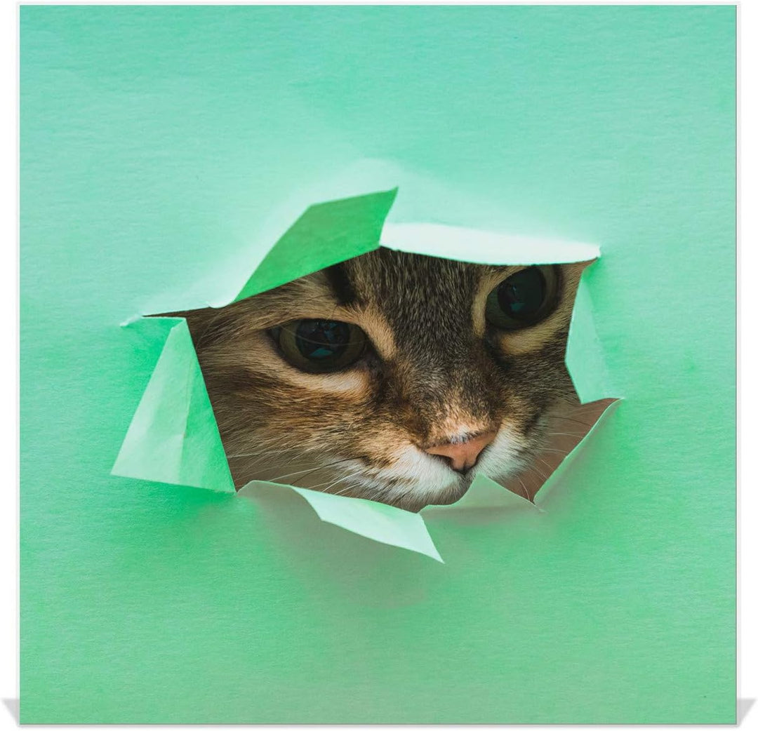 Concept Crystal Schlüsselkasten zur Wandmontage mit dekorativer Magnettafel K02 Flaumige Katze Recht