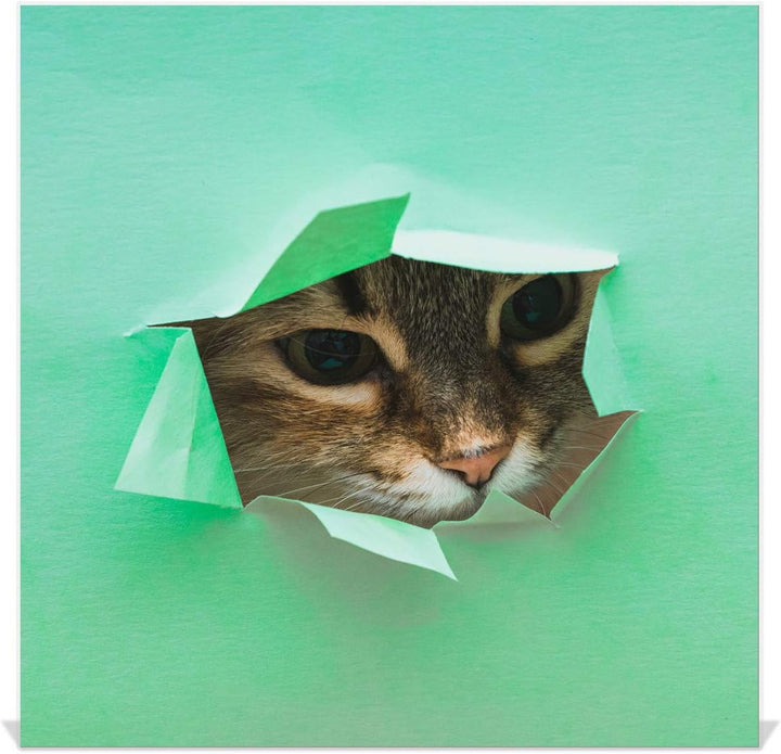 Concept Crystal Schlüsselkasten zur Wandmontage mit dekorativer Magnettafel K02 Flaumige Katze Recht