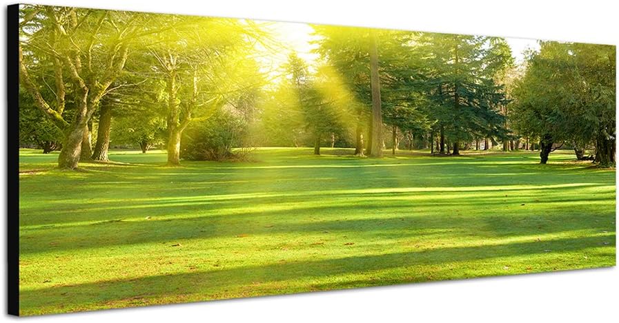 Paul Sinus Art Panoramabild auf Leinwand und Keilrahmen 150x50cm Wiese Bäume Wald Sonnenstrahlen Frü