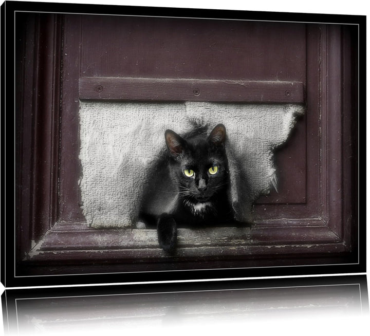 schwarze Katze durch Hundeklappe auf Leinwand, XXL riesige Bilder fertig gerahmt mit Keilrahmen, Kun
