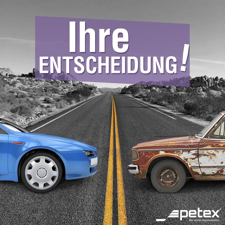 Petex RB514215 Radzierblende Speed Grösse 15 Zoll 2-fach lackiert Material: ABS in Box, silber - 4-e