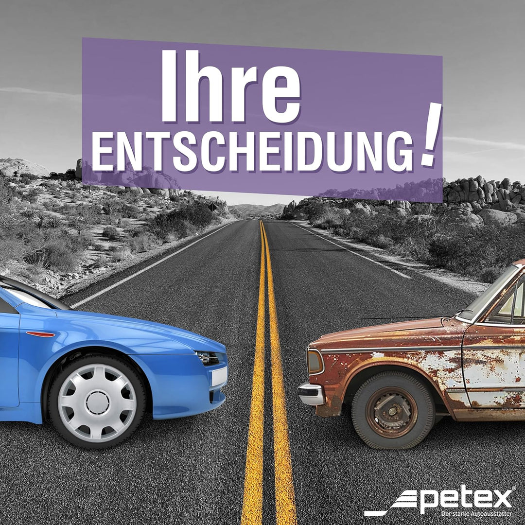 Petex RB514215 Radzierblende Speed Grösse 15 Zoll 2-fach lackiert Material: ABS in Box, silber - 4-e