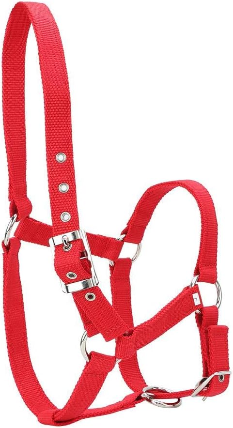 YOUTHINK Horse Halter High Density 6Mm Verdicktes Gurtband Horse Bridle Control Halfter Reitzubehör