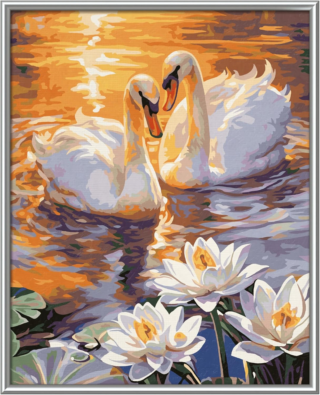 Schipper 609240923 Malen nach Zahlen – Verliebte Schwäne - Bilder malen für Erwachsene, inklusive Pi