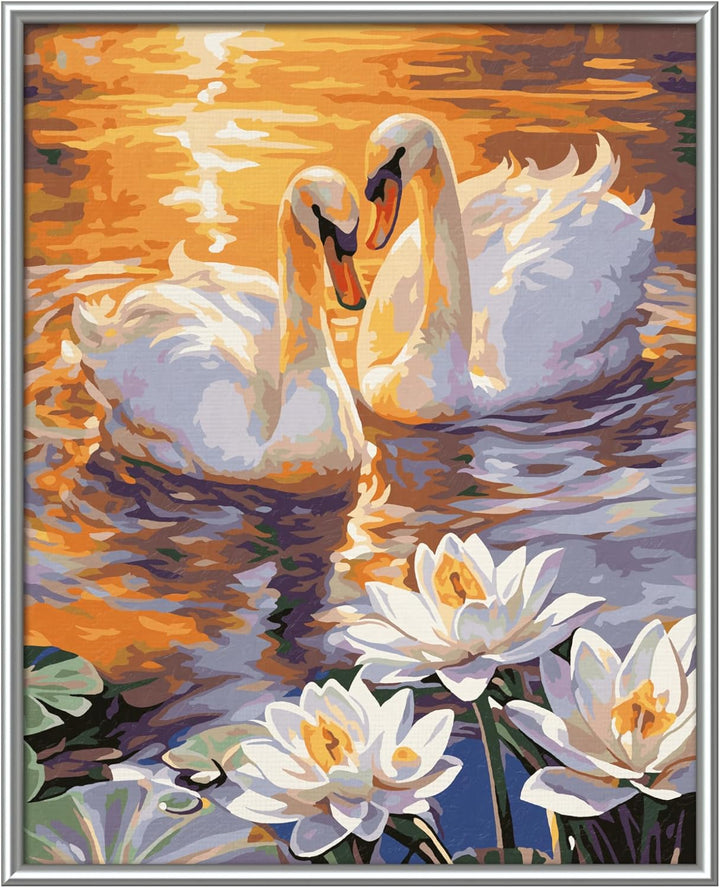 Schipper 609240923 Malen nach Zahlen – Verliebte Schwäne - Bilder malen für Erwachsene, inklusive Pi