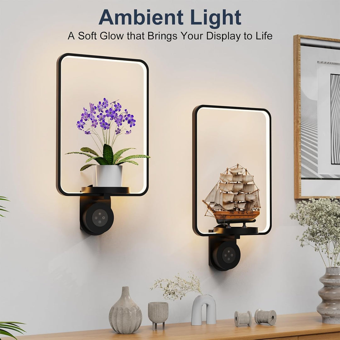Starxing 2 in 1 Wandpflanzenregal mit Lampe, 8000mAh Bilderrahmen Wandpflanzenhalter, Fernbedienung