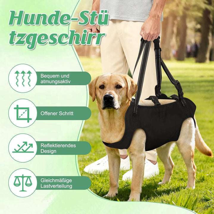 Hunde-Hebegeschirr, Tragehilfe für Hunde, Stützgeschirr mit verstellbaren Griffen und atmungsaktivem