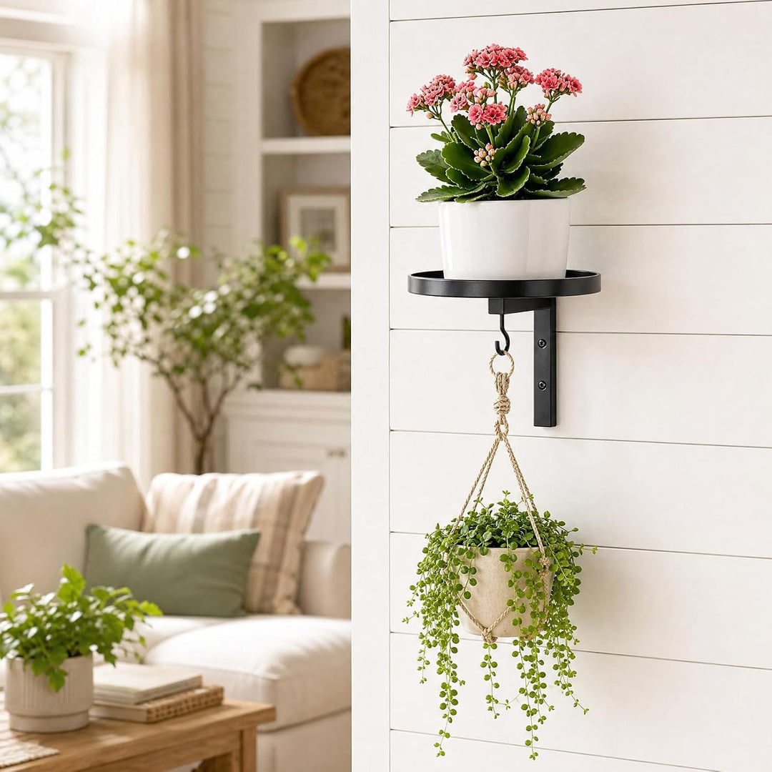 Wandbehang Pflanzenständer, 2 Stück Blumenständer Wandmontage Set Pflanzenregal aus Metall mit Haken