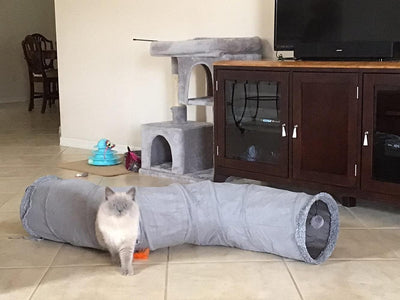 Ownpets Katzentunnel, Cat Tunnel, Katzentunnel Stoff mit Ball und Cat Teaser, Spieltunnel für Katze