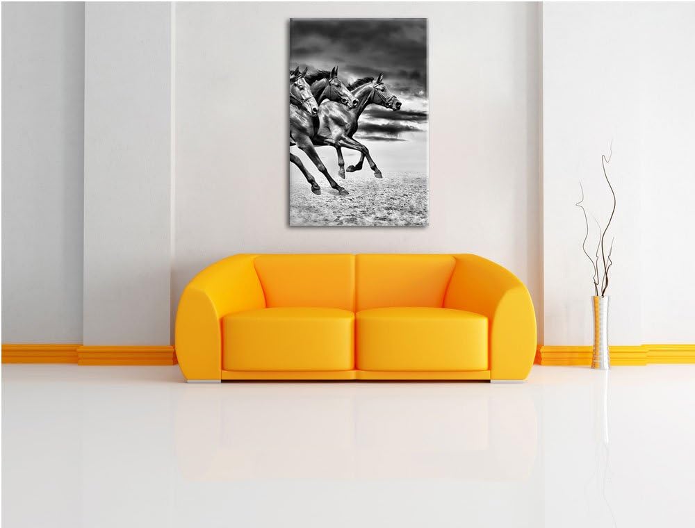 Pixxprint Monocrome, DREI Wilde Westernpferde, Format: 100x70 auf Leinwand, riesige Bilder fertig ge
