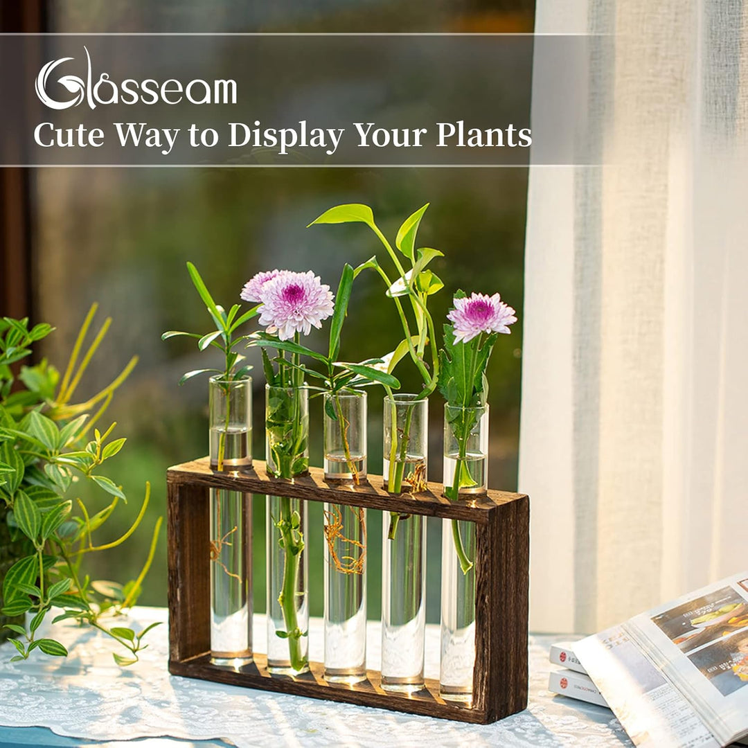Glasseam Modern Blumenvase Kleine Vasen Deko Set Vintage Glas Reagenzgläser Für Blumen Mit Ständer H