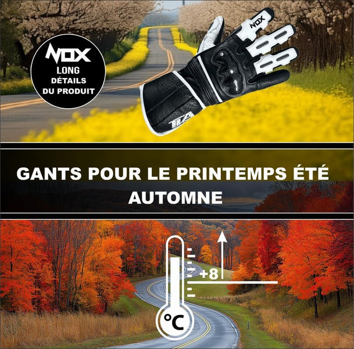 TLA NOX Leder-Motorradhandschuhe mit CE-geprüftem Knöchelschutz, Grössen bis 4XL für Männer und Frau