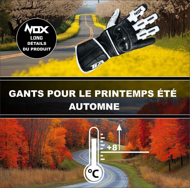 TLA NOX Leder-Motorradhandschuhe mit CE-geprüftem Knöchelschutz, Grössen bis 4XL für Männer und Frau