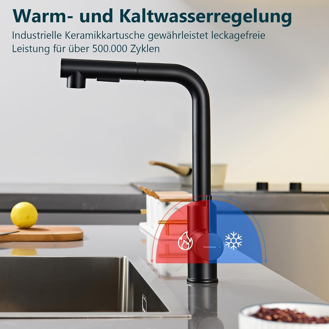 Wasserhahn Küche, Küchenarmatur mit Brause Ausziehbar Schwarz, Schwarz