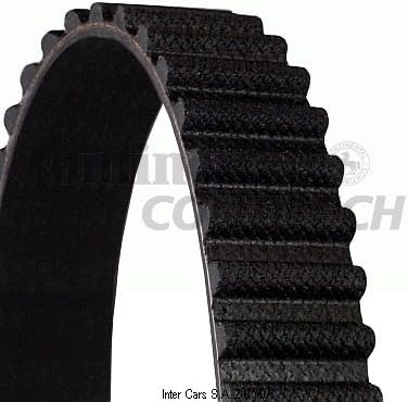 Contitech CT1163 Zahnriemen