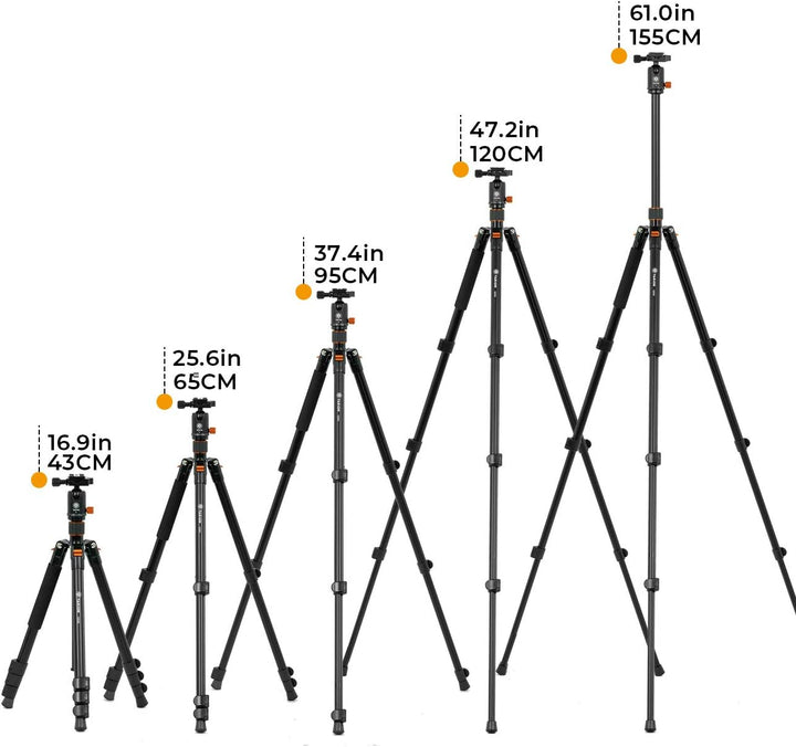 TARION Kamera Stativ Aluminium Fotostativ Reisestativ mit 360° Kugelkopf und Schnellwechselplatte 15