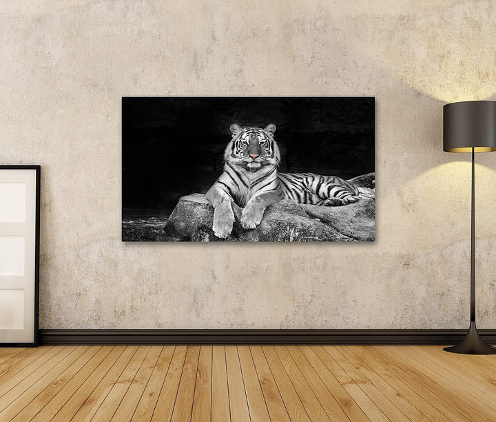islandburner Bild auf Leinwand Weisse Tiger Wandbild Poster Kunstdruck Bilder Format: 100x57cm, Form