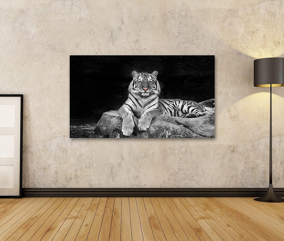islandburner Bild auf Leinwand Weisse Tiger Wandbild Poster Kunstdruck Bilder Format: 100x57cm, Form