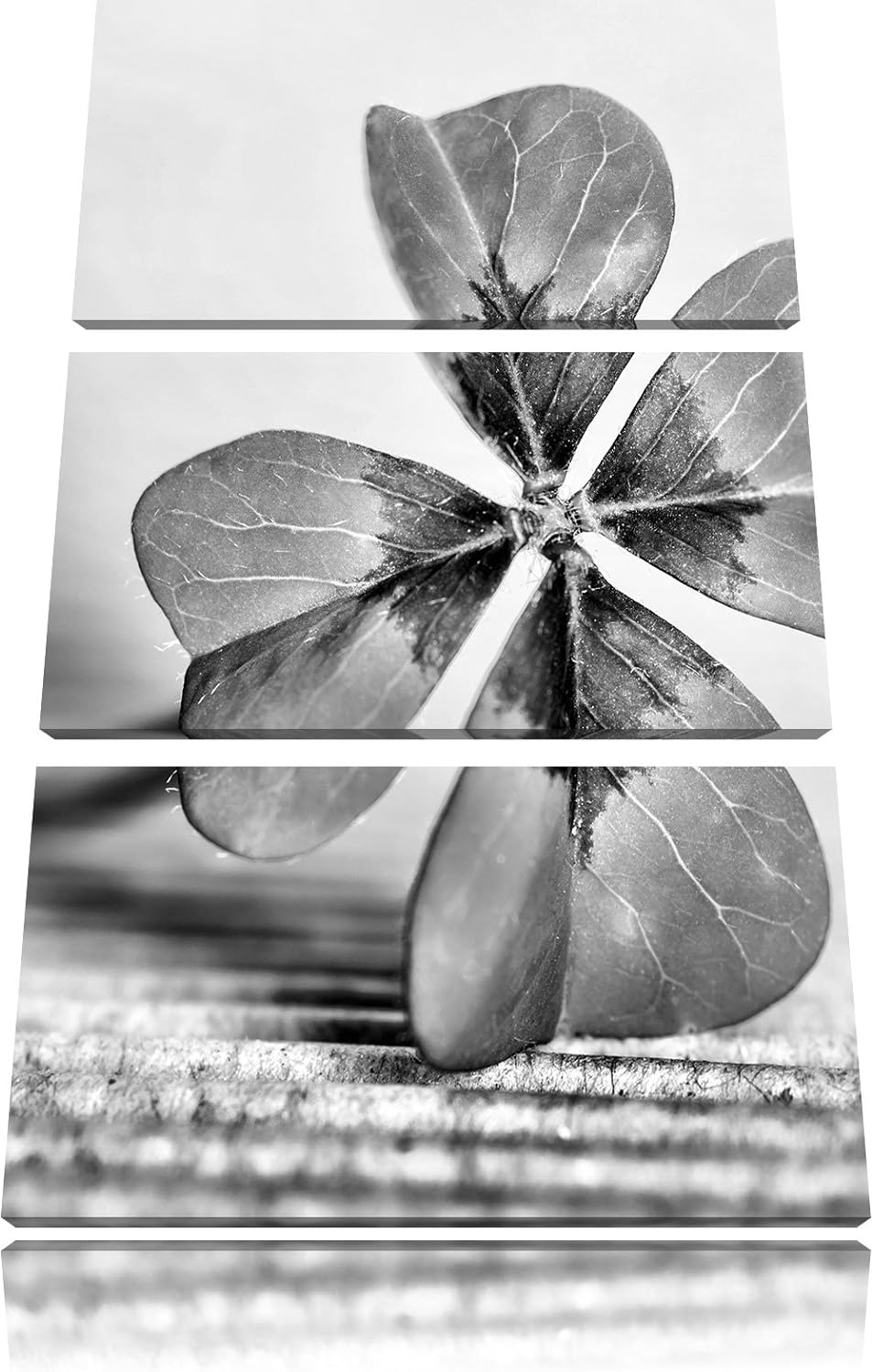 Pixxprint Glücks Kleeblatt mit 4 Blättern als Leinwandbild | Grösse: 3 Teilig (120x80) | Wandbild| K