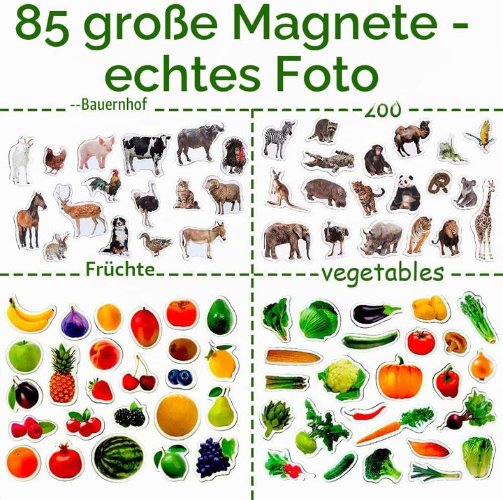 magdum 85 Kinder Magnete Zoo + BAUERNHOFTIERE + Obst + GEMÜSE Foto Magnete Kinder für magnettafel -