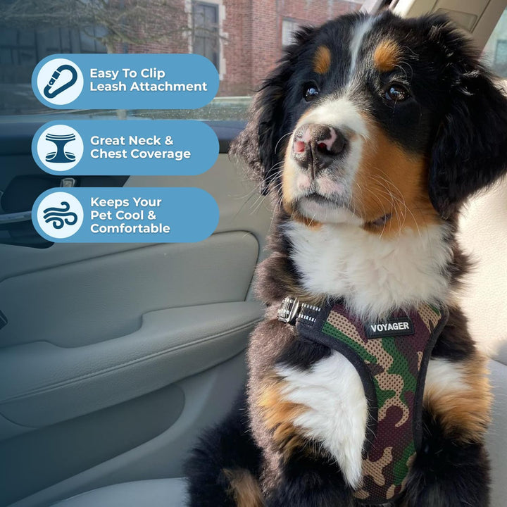 Best Pet Supplies Voyager verstellbares Hundegeschirr mit reflektierenden Streifen für Spaziergänge,