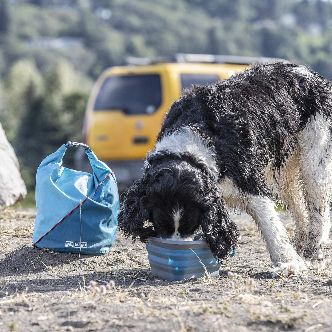 Kurgo K81013 Hunde Futterbeutel, Hundefutter Reisetasche, Hundefutter Tasche, Futterbeutel Hundetrai