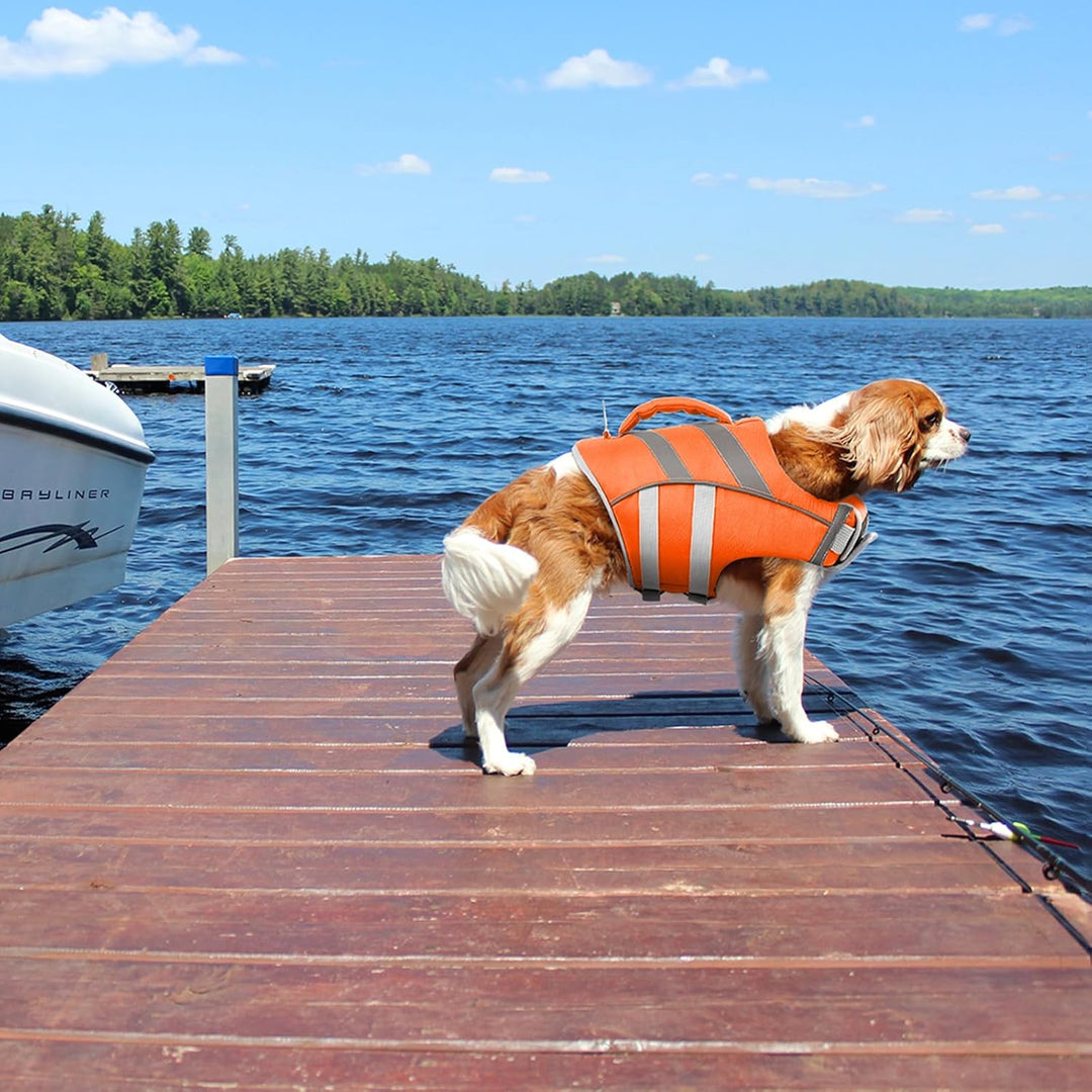 Kuoser Schwimmweste Hund, Haltbarkeit Hundeschwimmweste, Hervorragender Auftrieb Schwimmweste Hund k