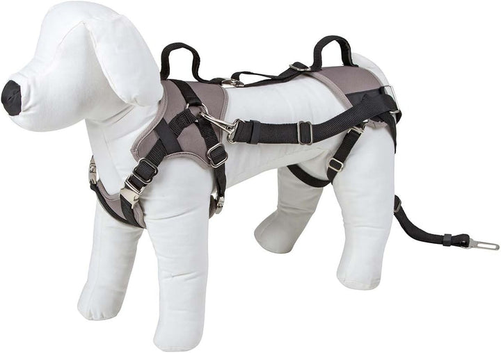 Kerbl 81337 Autosicherheitsgeschirr Travel Protect, S, grau, S