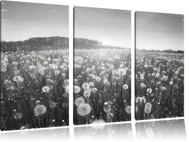 Pixxprint Pusteblumen Sonnenuntergang als Leinwandbild/Grösse: 3 Teilig (120x80) cm/Wandbild/Kunstdr