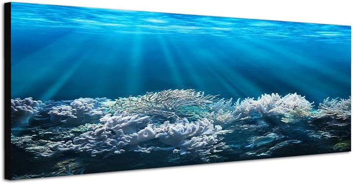 Paul Sinus Art Panoramabild auf Leinwand und Keilrahmen 150x50cm Meer Unterwasser Korallen Sonnenstr
