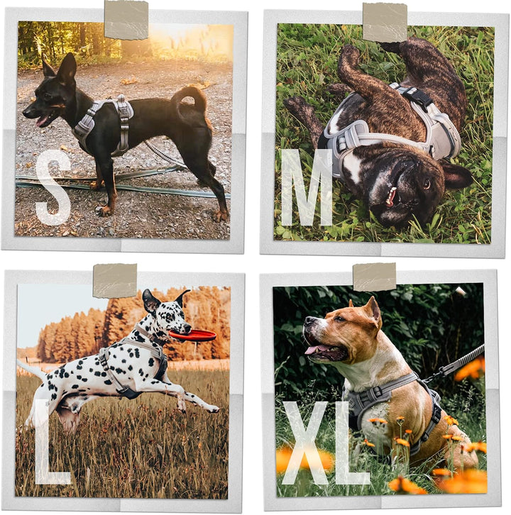 ne&amp;no® Hundegeschirr mit passenden Ruckdämpfer [Developed by NE&amp;NO] Hunde Geschirrset | Brustgeschir