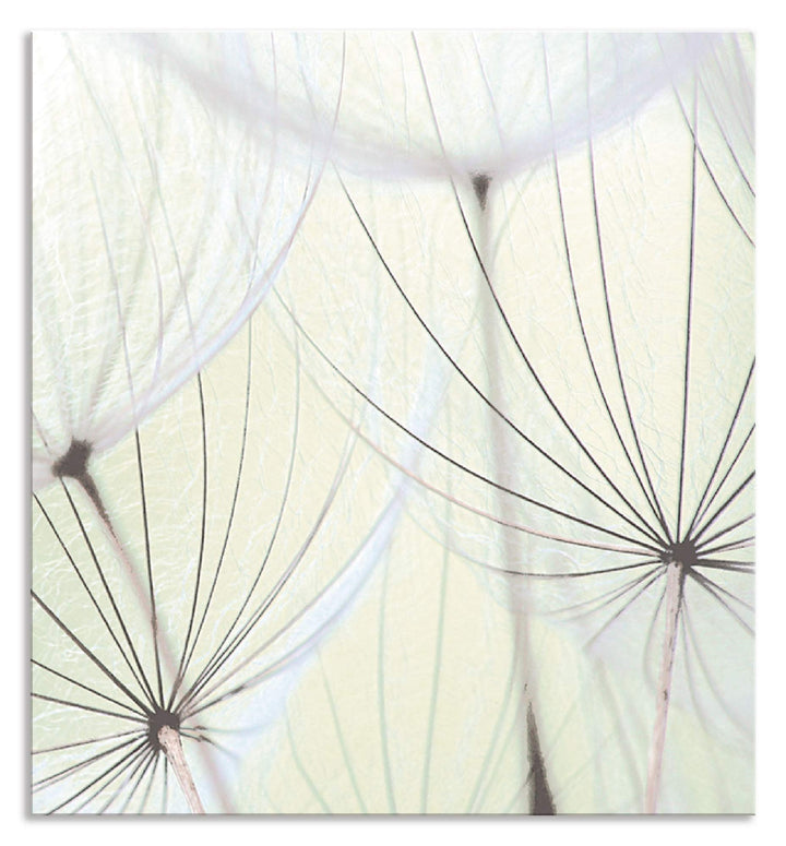 ARTland Spritzschutz Küche aus Alu für Herd Spüle 60x65 cm (BxH) Küchenrückwand mit Motiv Blume Pust
