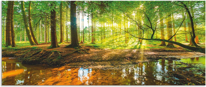 ARTland Spritzschutz Küche aus Alu für Herd Spüle 120x50 cm (BxH) Küchenrückwand mit Motiv Natur Lan