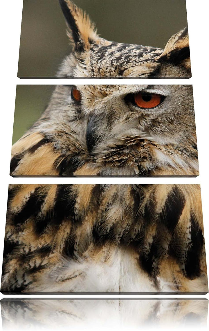 Pixxprint Eule auf AST als Leinwandbild/Grösse: 3 Teilig (120x80) cm/Wandbild/Kunstdruck/fertig besp
